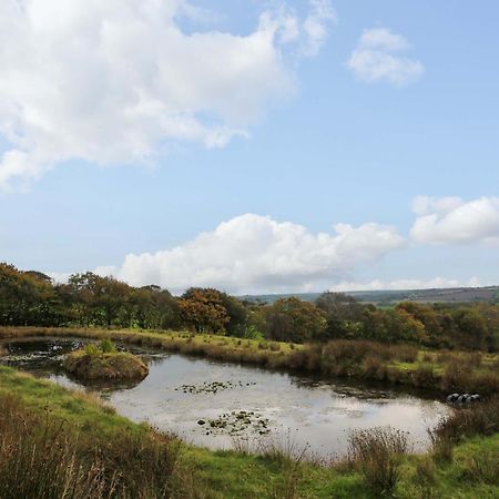 The Cottage Bideford Exterior foto